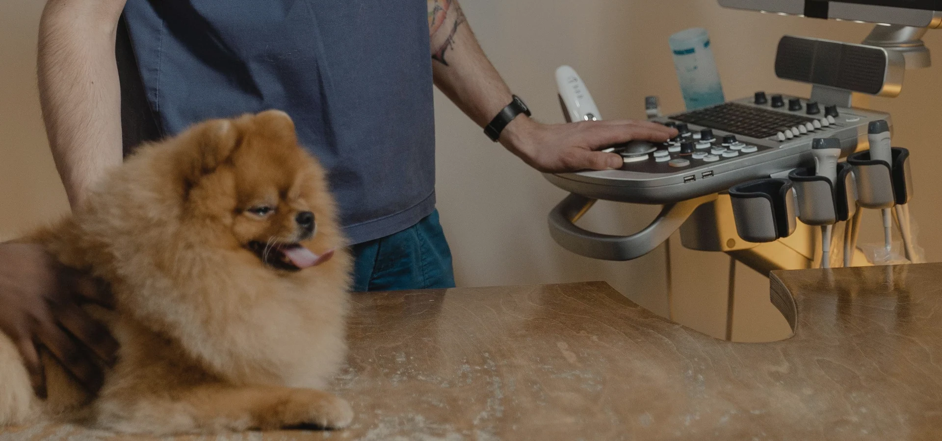 Dog receiving veterinary diagnostic examination with clinical equipment